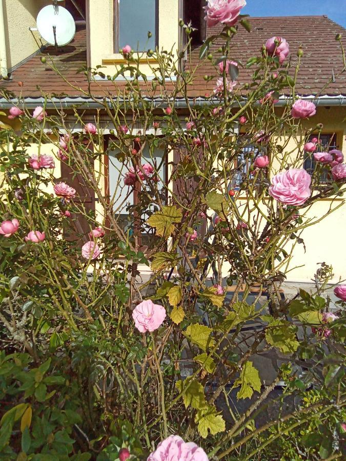 Gite Des Hortensias Raon-aux-Bois Eksteriør bilde