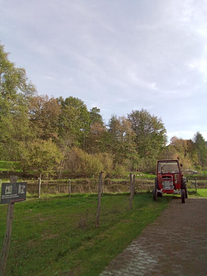 Gite Des Hortensias Raon-aux-Bois Eksteriør bilde