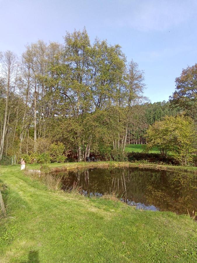Gite Des Hortensias Raon-aux-Bois Eksteriør bilde