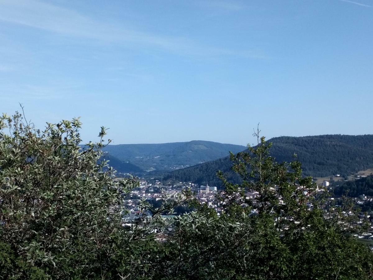 Gite Des Hortensias Raon-aux-Bois Eksteriør bilde