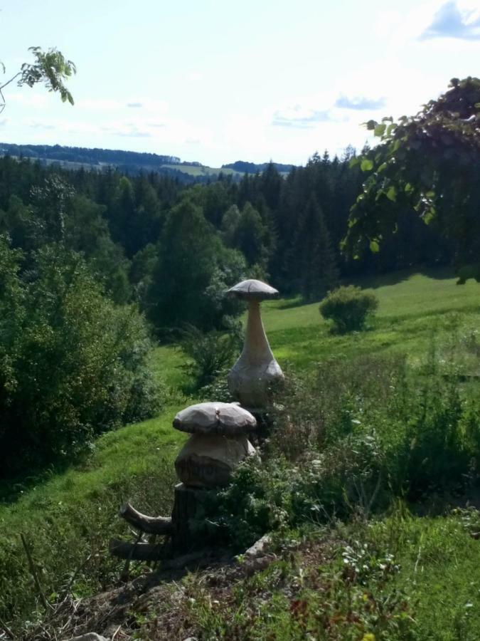 Gite Des Hortensias Raon-aux-Bois Eksteriør bilde